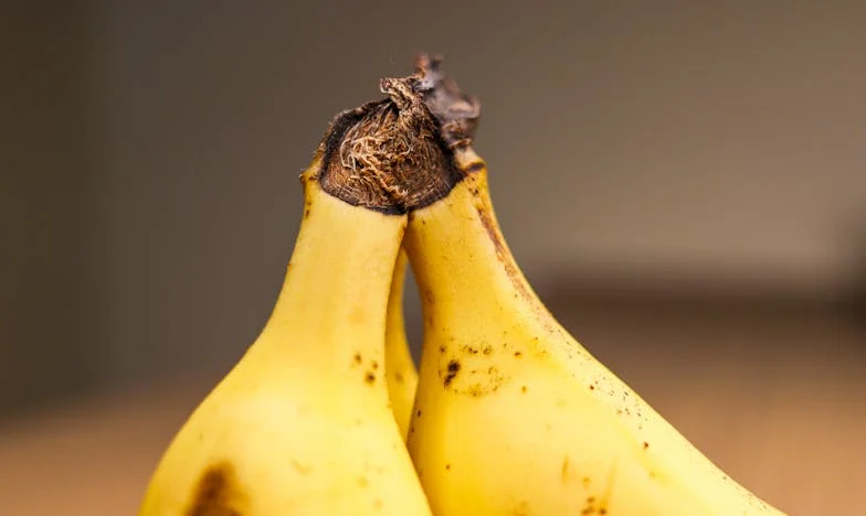 Mamá, no te reconozco: La historia de Teresa, una madre olvidada