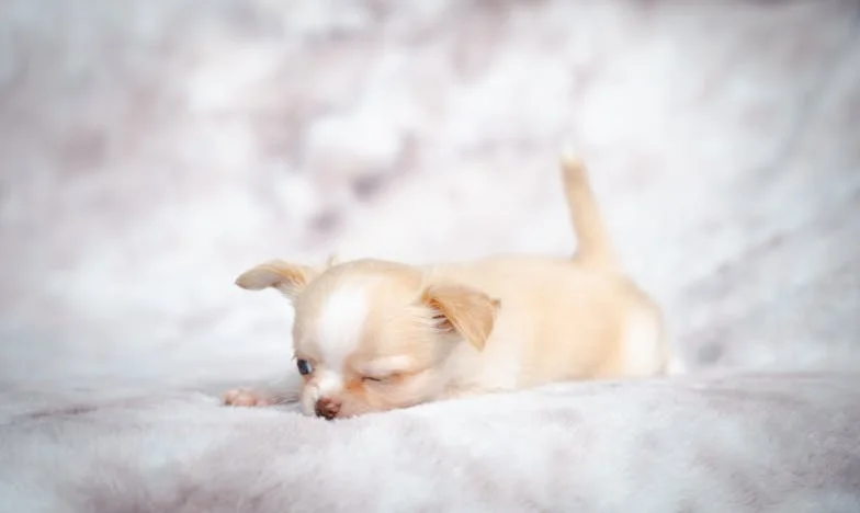 Mi hija quiere casarse con un hombre sin ambición: el miedo que nos consume