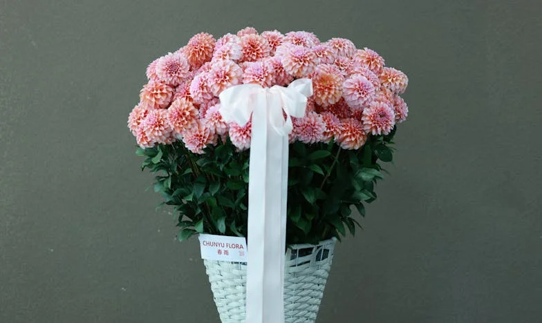 Nadie Decente Regala una Lavadora en una Boda: Crónica de un Desencuentro Familiar