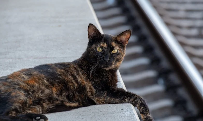 No quiero que mi nuera gane más: el precio de cuidar a mi nieta