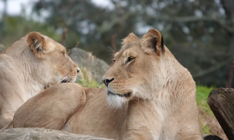 No sé cuánto cobra mi papá de jubilación, y tampoco me importa: El viaje de un hijo desde la indiferencia hasta la comprensión