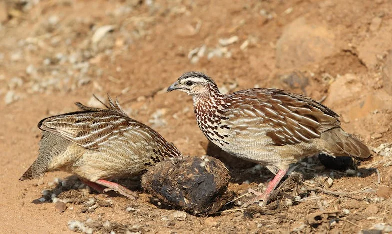 “No soy más que una vieja tonta”: El último día de la profesora Marta