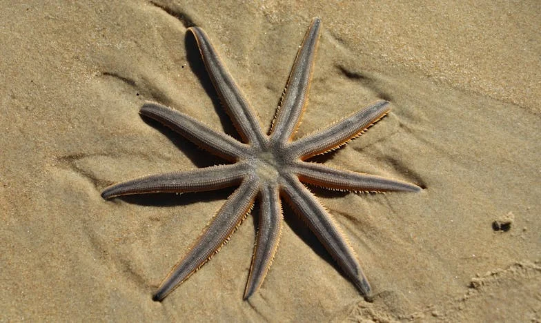 Nunca Fui Suficiente para los Padres de Mauricio: El Peso del Apellido y la Realidad de las Clases en México