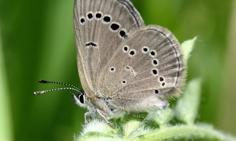 ¿Quién me robó la vida?