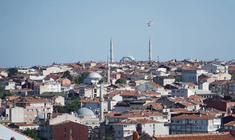 Renacer en la penumbra: la historia de Felicja