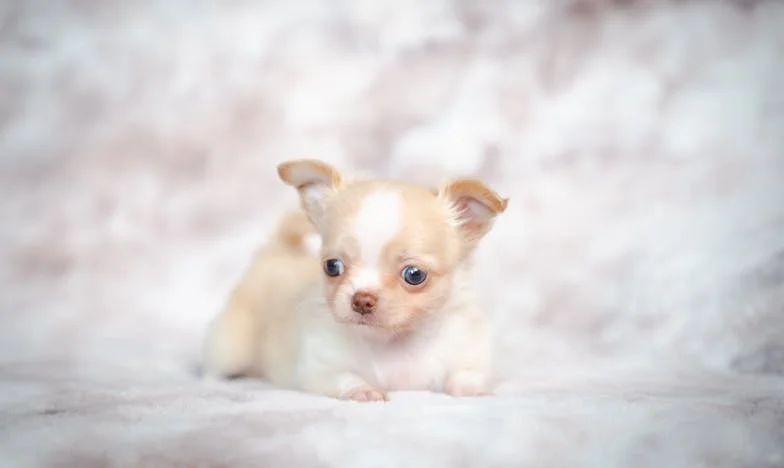 Sin Aire: La Noche Que Todo Cambió