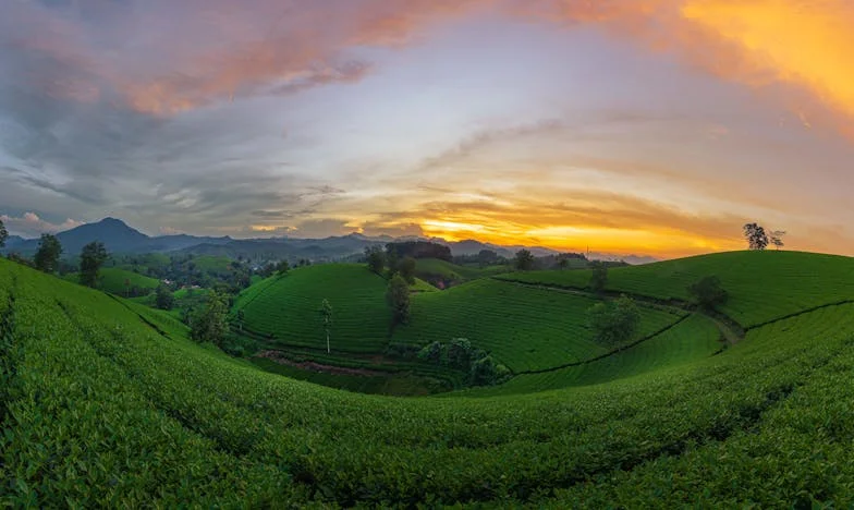 Sólo quedé yo: Una noche interminable en San Miguel