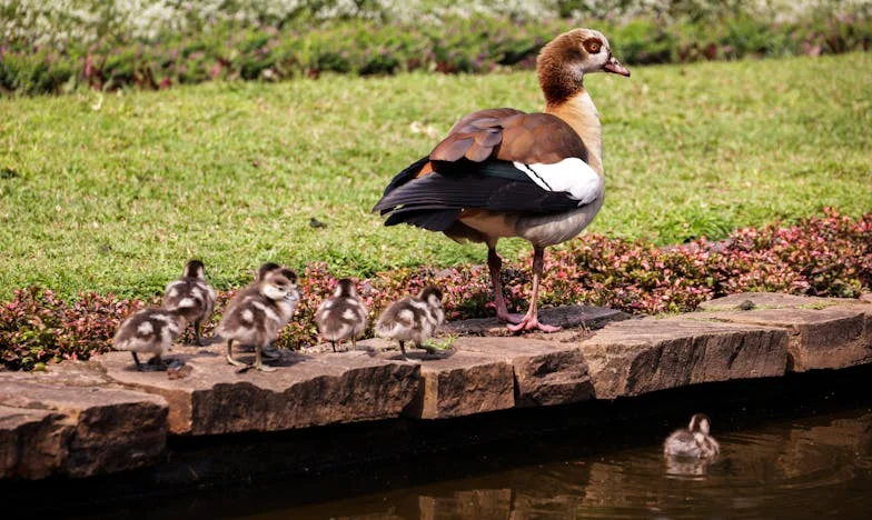 Sombras del pasado: Cuando mi suegra cuida a mi hijo