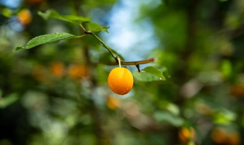 ¿Soy una mala madre por no poder ayudar económicamente a mi hija?