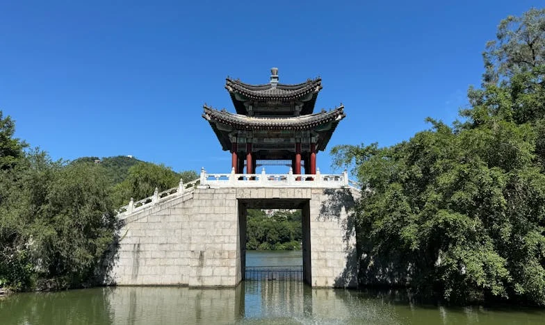 Suegras, Herencias y el Precio del Amor: La Historia de Mariana y Andrés