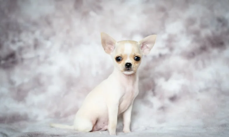 “¡Tienes que respetar mis derechos!” — El grito de mi hijo que partió mi corazón