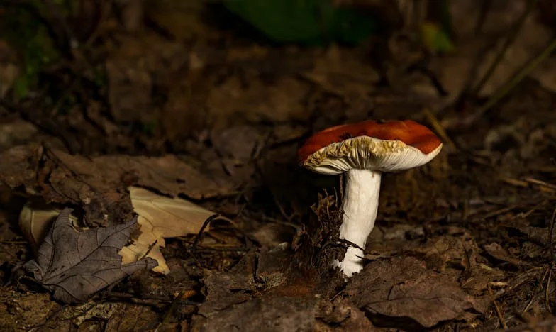 Tres corazones en un año: la historia de una madre soltera en Medellín