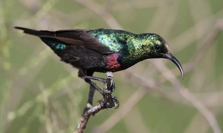 Tres cosas frente al mar