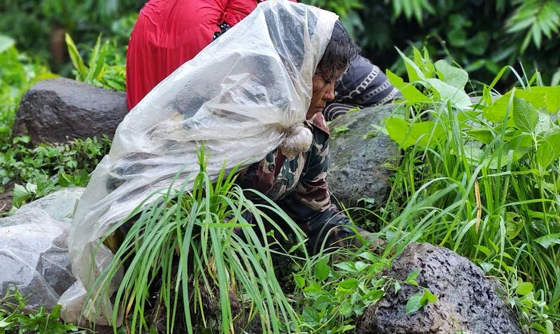 Un mes para irme: La decisión de mi suegra