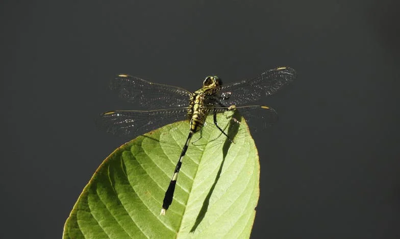 Una semana sin dormir: el día que mi esposo desapareció y mi mundo se quebró