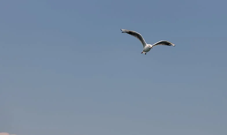 Vecindario de Esperanza: Cómo Mariana me salvó de la soledad