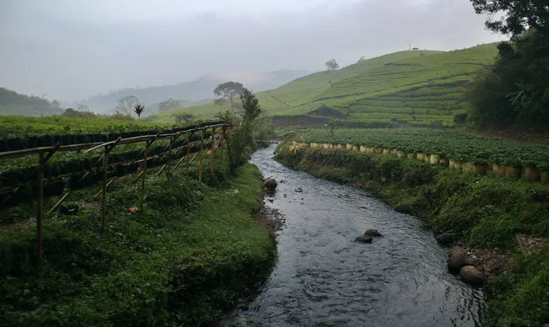 Vinieron a celebrar, pero no abriré la puerta: una Navidad en San Luis Potosí