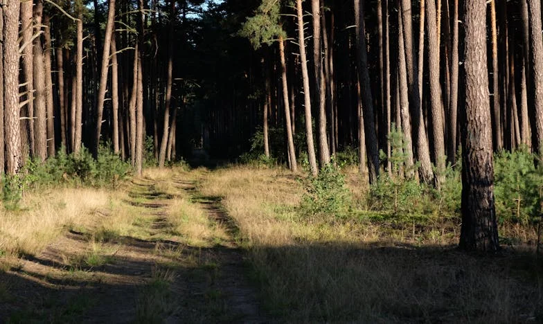 A los 38 años, sin marido ni hijos: ¿y qué?