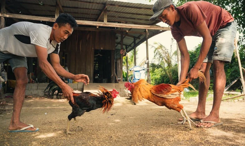 Bajo el techo de lámina: La sombra de mi familia