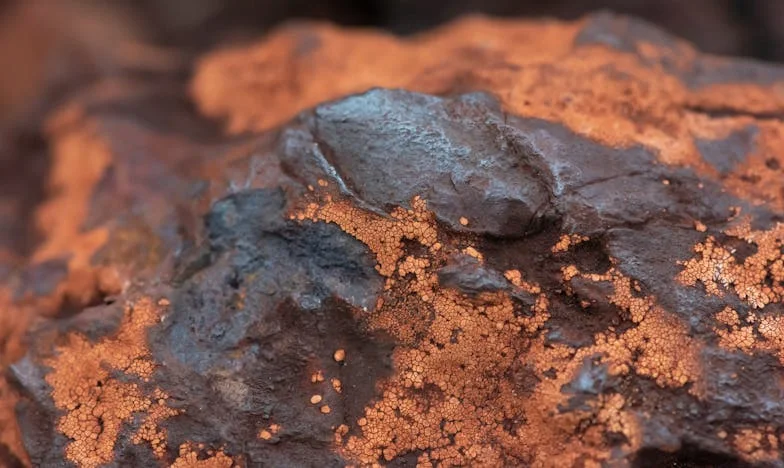 Cisza antes de la tormenta: El eco de la sequía