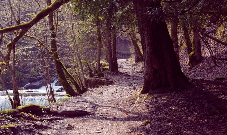 Cuando el amor se vuelve una carga: La historia de una madre y su hija en el corazón de Medellín