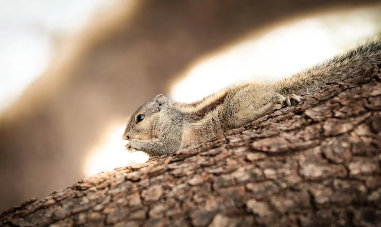 Cuando Eva Cruzó la Puerta Sin Avisar: El Día Que Aprendí a Decir No