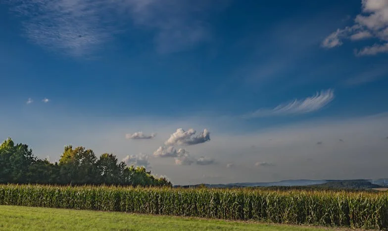 Cuando la familia invade: Una Navidad que lo cambió todo