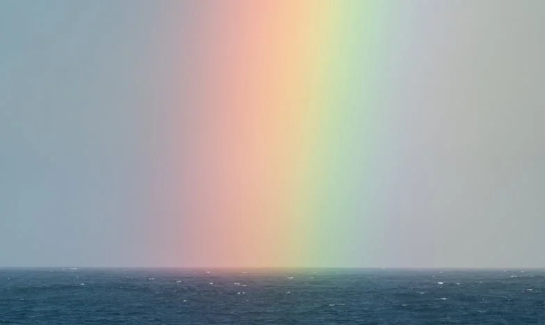 Cuando la familia se rompe desde adentro: la traición de quienes más amas