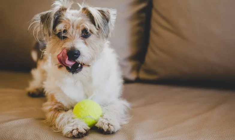 Cuando mi esposo me entregó una factura: Confesiones de una esposa mexicana