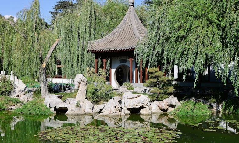 Cuando mi hija vino a verme: El abandono silencioso en los hospitales de México