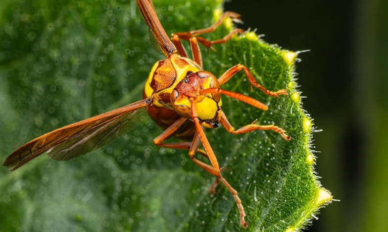 Cuando mi hijo me cerró la puerta: una madre entre el amor y el dolor