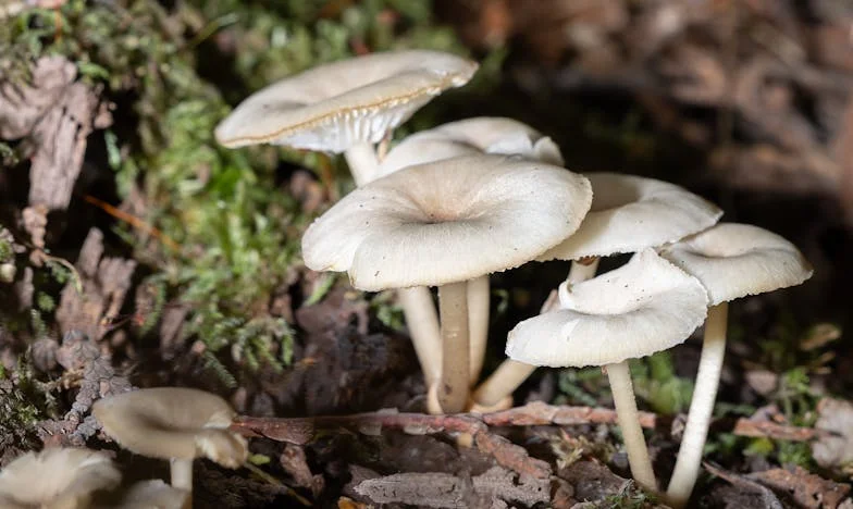 De Tensión a Brindis: El Día que Victoria y Yo Nos Encontramos de Verdad