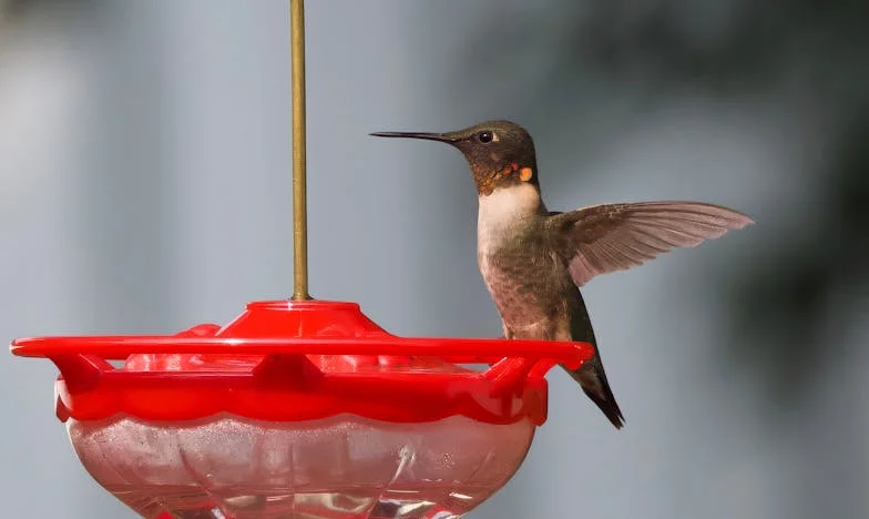 Después de la Tormenta: El Hijo que Dejé Atrás