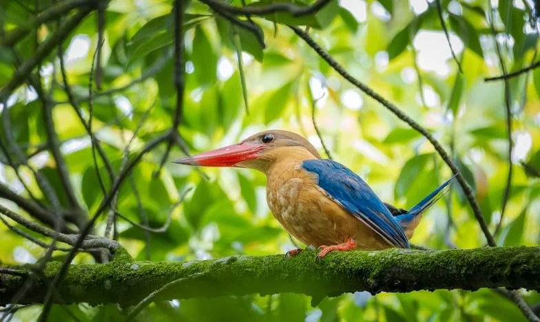 Doble cumpleaños: Fuego, secretos y cicatrices en la familia