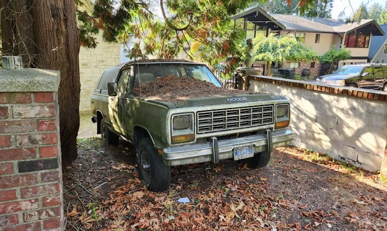 Doce años de silencio: La verdad que nunca quise escuchar de mi nieta