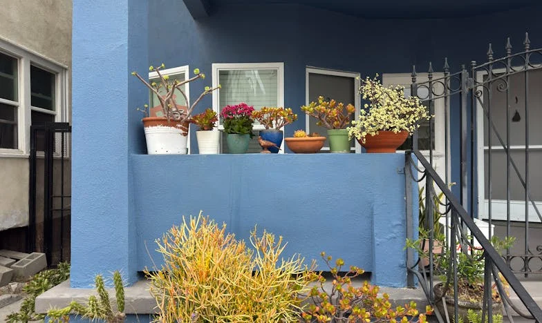 ¿Dónde estabas cuando te necesitaba, abuela?