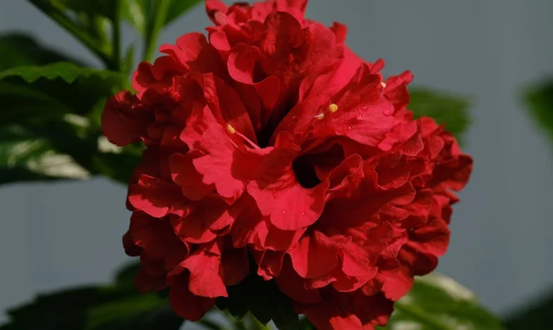 Dos años de silencio: la historia de una madre y su hija en el corazón de Buenos Aires