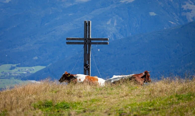 El día que eché a la tía de mi esposo: entre el respeto propio y la familia