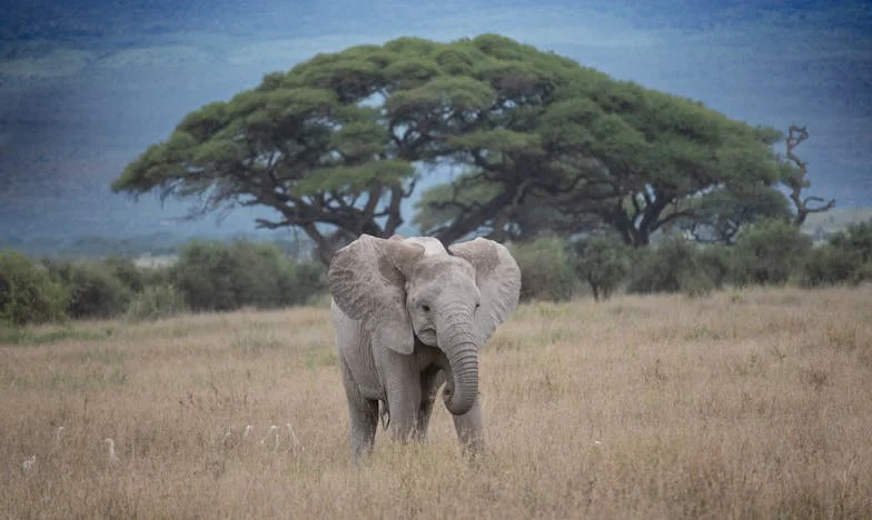El día que escapé de mi boda con mi mejor amigo