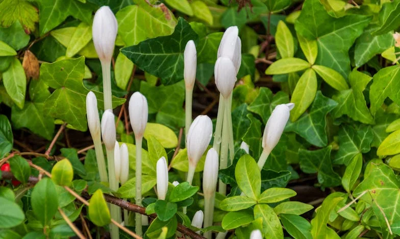 El día que la cuchara cayó: una vida entre ausencias y nuevos comienzos