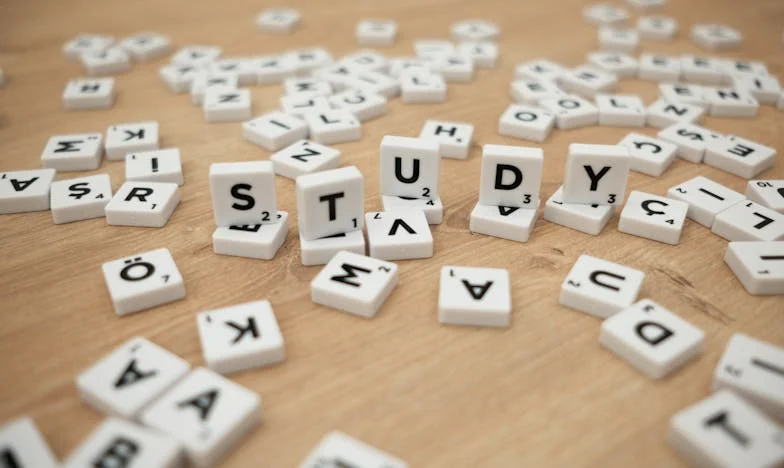 El día que Lucía se fue: Renacer entre los escombros del abandono