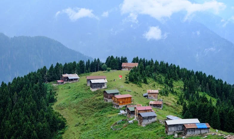 El día que tuve que pedirle a mi madre que se fuera