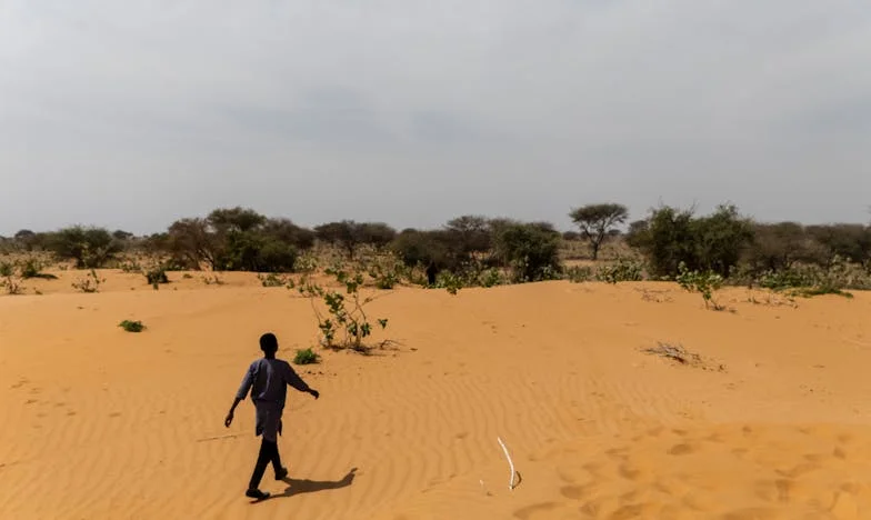 El dinero de la casa ya no es mío: La historia de una mujer que lucha por su dignidad