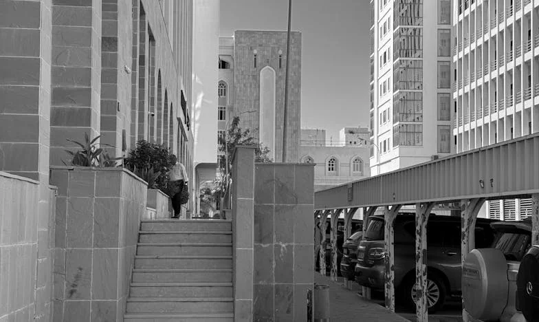 El eco de la felicidad: La historia de Verónica