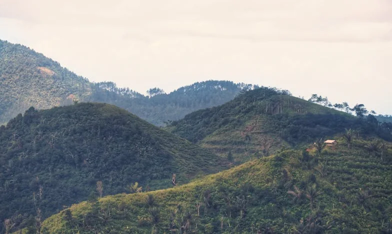 El eco de los secretos: una vida entre sombras y esperanza