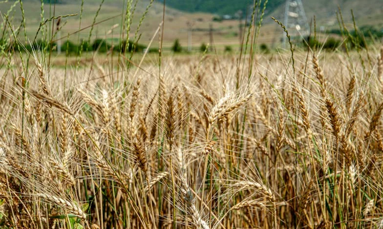 El eco de mi voz entre las paredes de la secundaria