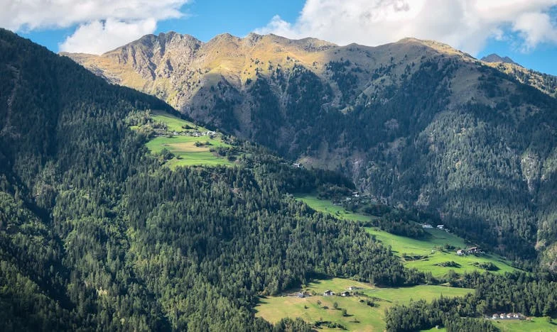El jardín que no pedí: Cómo me convertí en madre de los hijos de mi hermano y lo que eso hizo con mi familia
