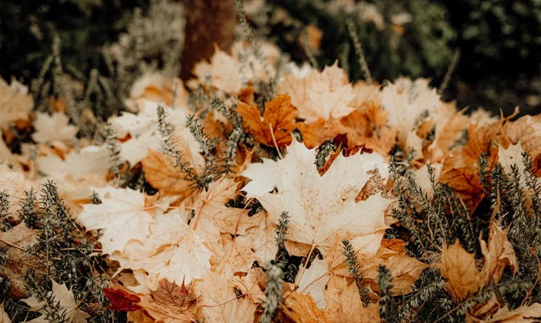 El peso invisible: Secretos de mi esposo que destruyeron nuestro hogar