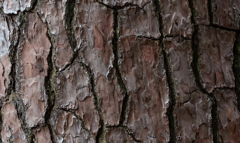 El precio de la confianza: una decisión familiar que lo cambió todo