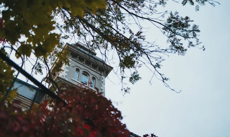 El precio de un sueño tardío: la historia de Bogdan